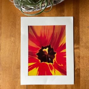 Original Limited Edition Art Photos